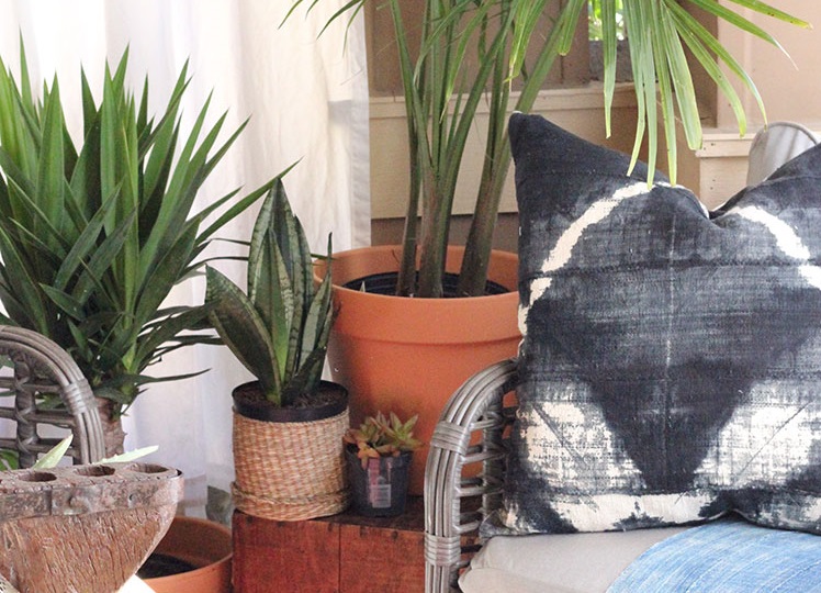 Patio featuring potted plants and bohemian-style pillow