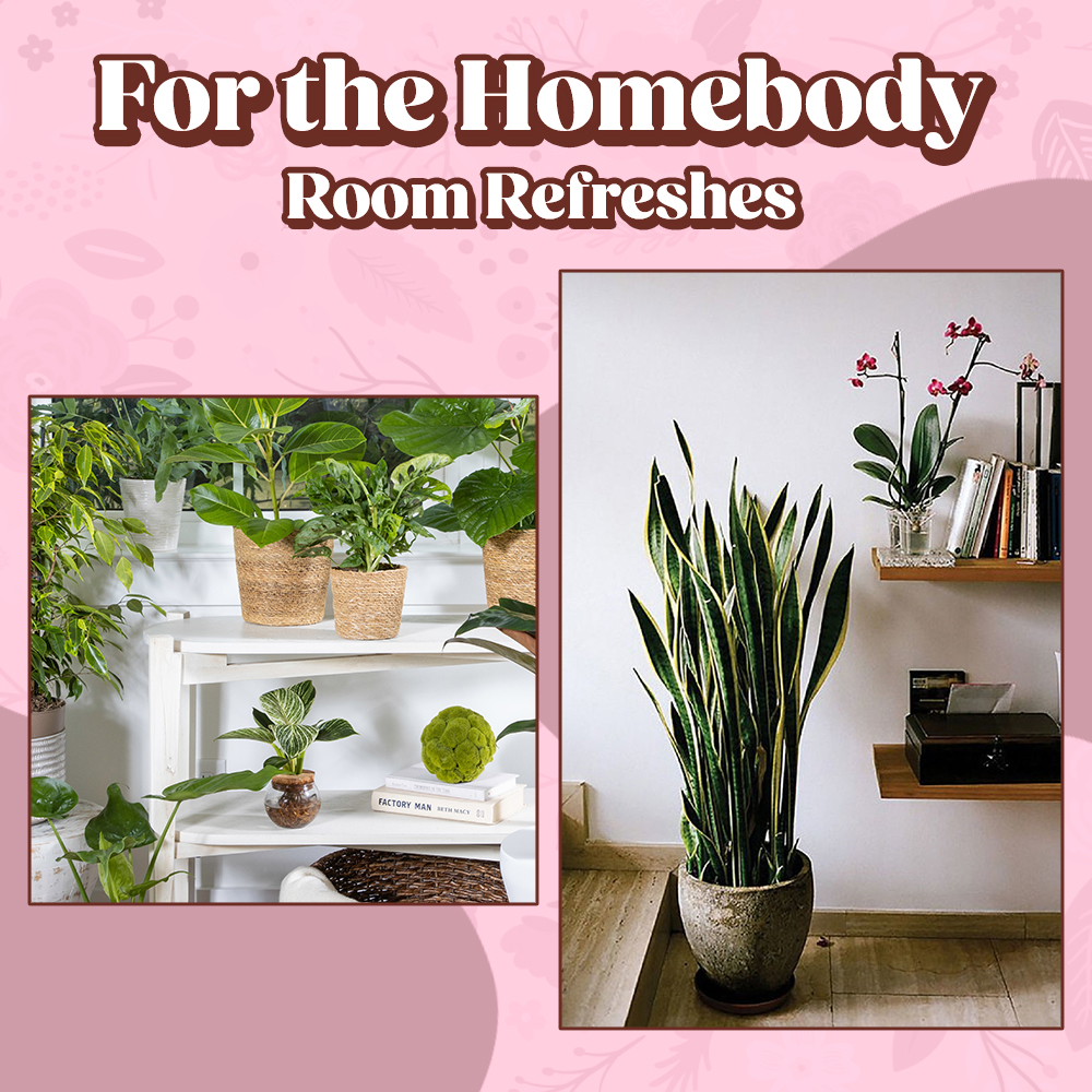 Graphic showing two plants for room refreshers