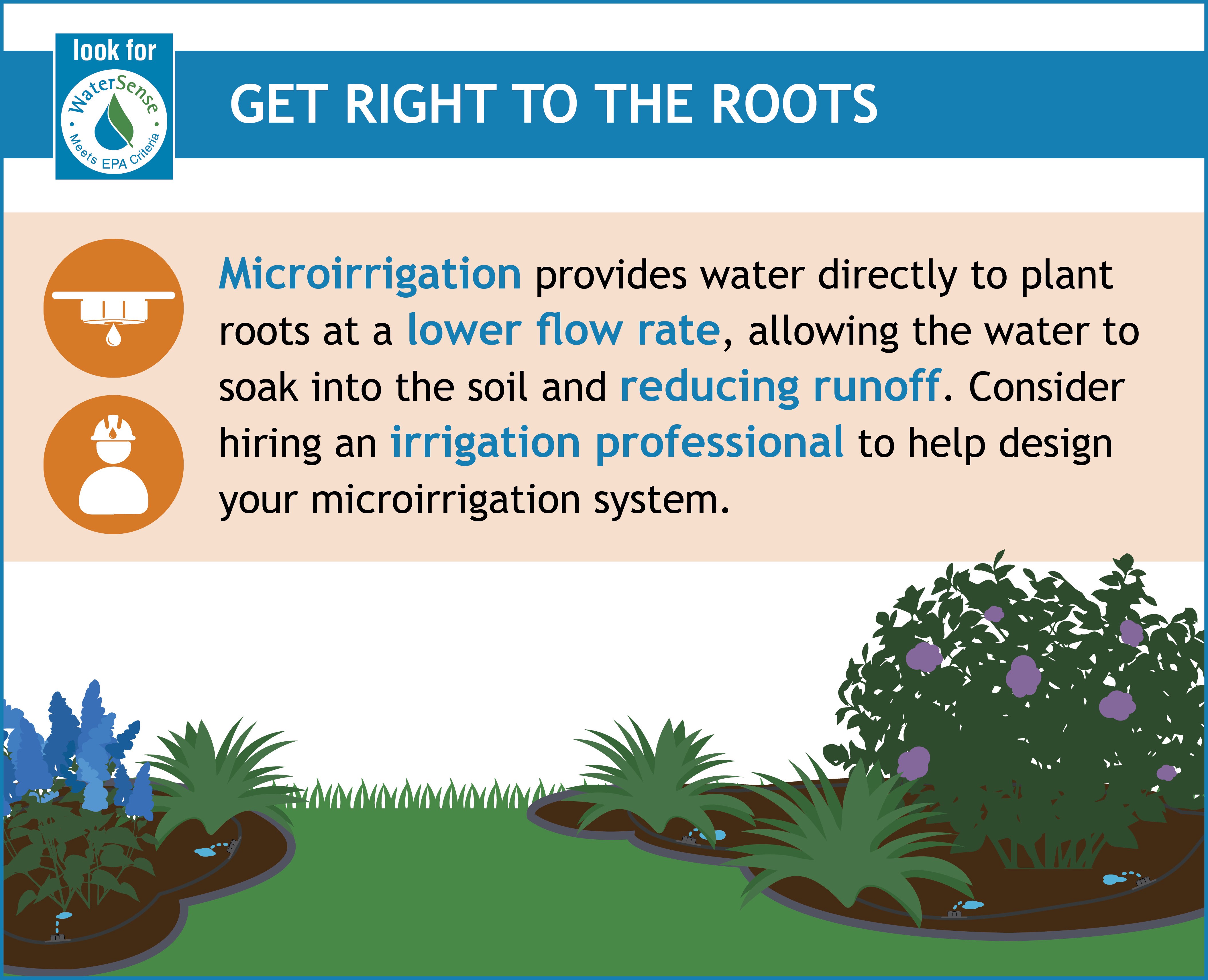 Get right to the roots infographic