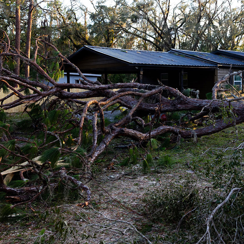 Hurricane Idalia aftermath collage