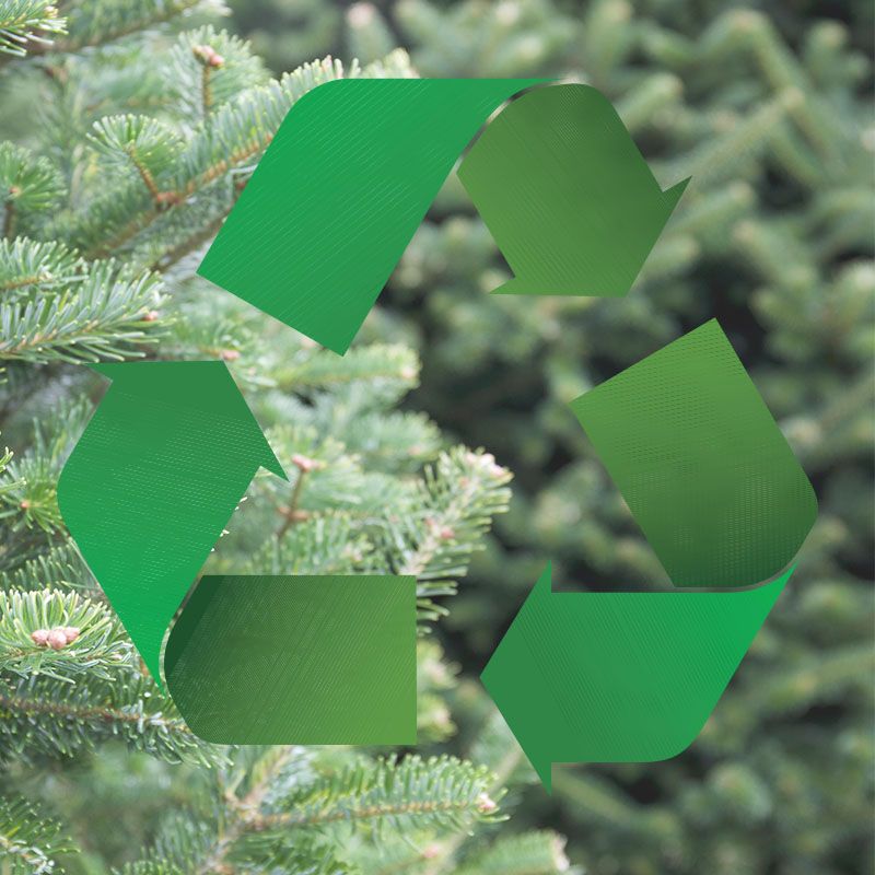 tree recycling