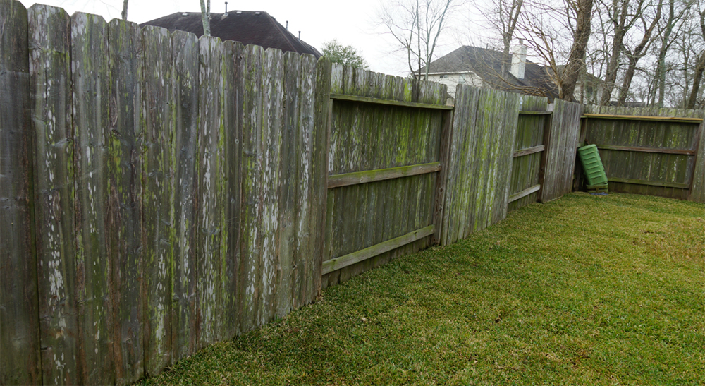 Missouri City, Texas Yard Garage Surpise before