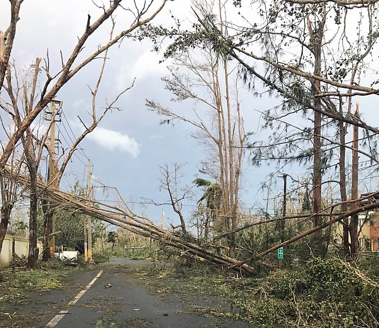 Hurricane Maria devastation