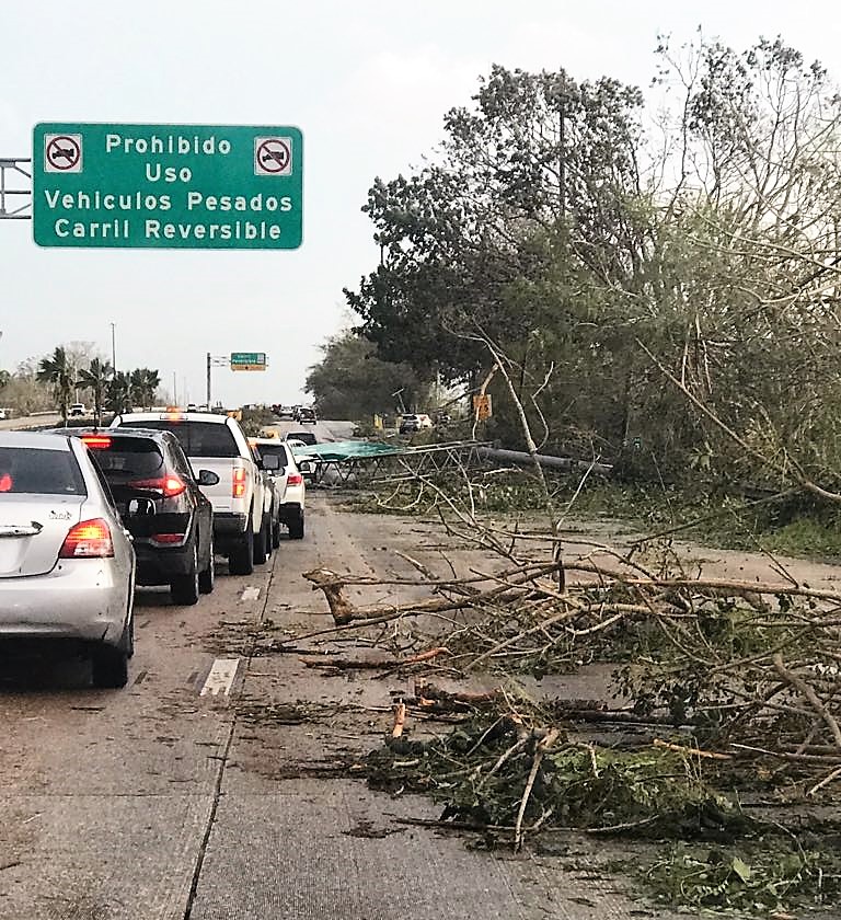 Hurricane Maria devastation