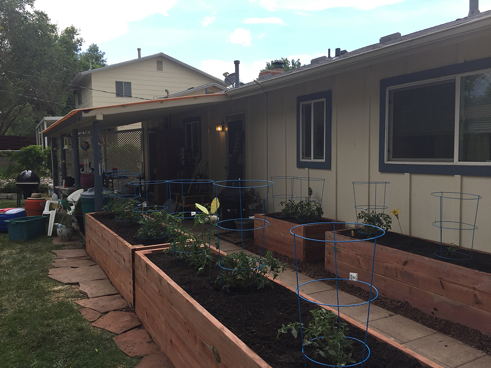 Colorado Springs, Colo. Backyard Garden Upgrade before