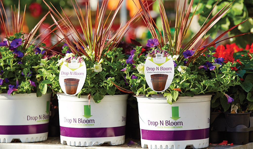 Drop N Bloom planter