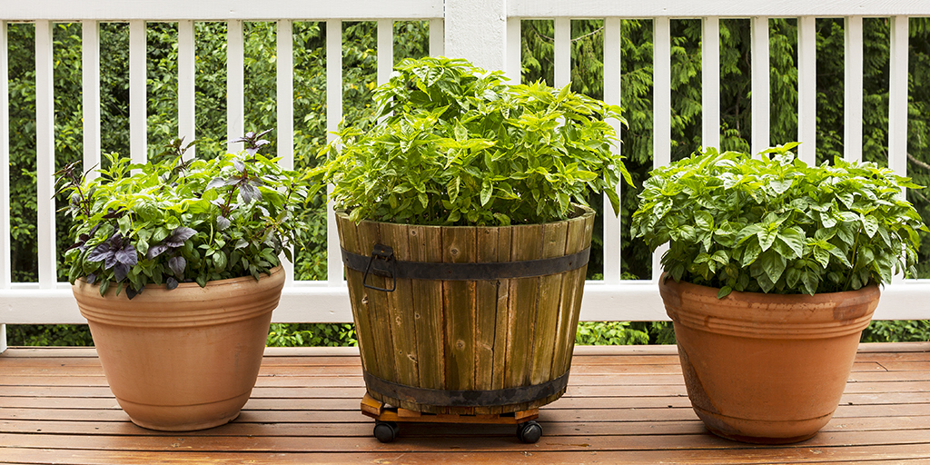 Herb planters