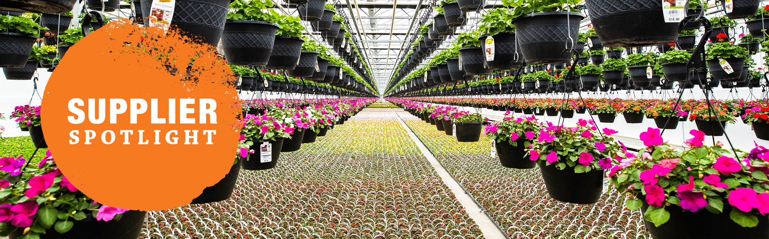 The Home Depot Supplier Spotlight Bell Nursery Branches Out