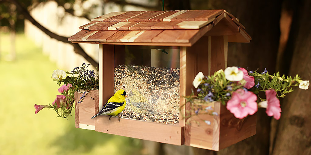 Bird eating at bird feeder