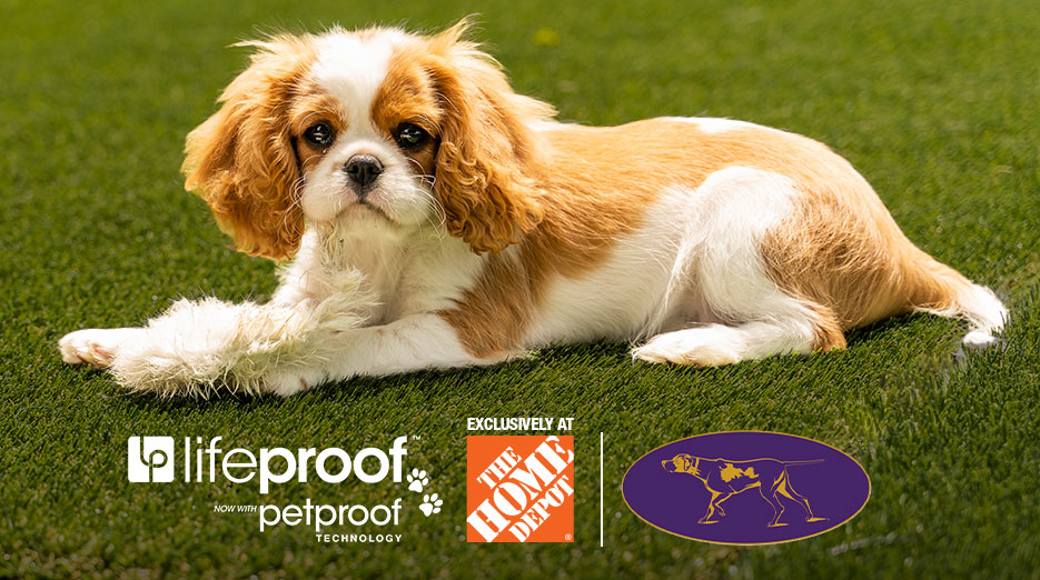 Lifeproof with Petproof Technology Premium Pet Turf 7.5 ft. x 13 ft. Green  Artificial Grass Rug LPPPET7513 - The Home Depot