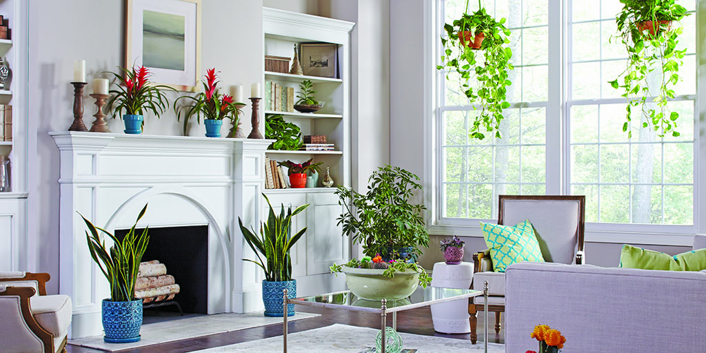 Light-filled living room with plants