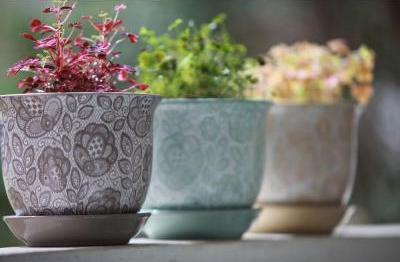 Gardening Ceramic Pots