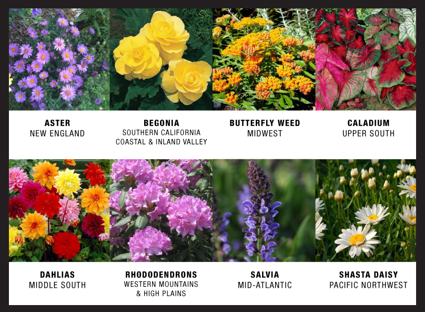 How Garden Centers Vary Region to Region | The Home Depot