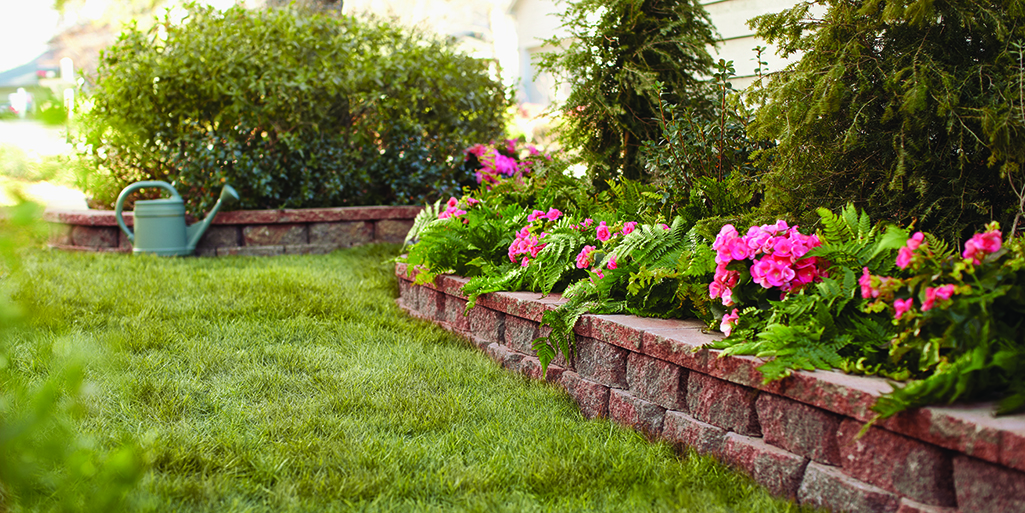 Garden at spring time