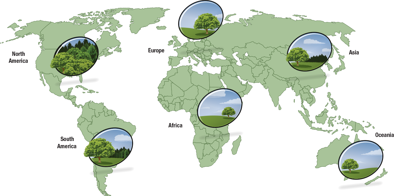 Wood Sourcing Map