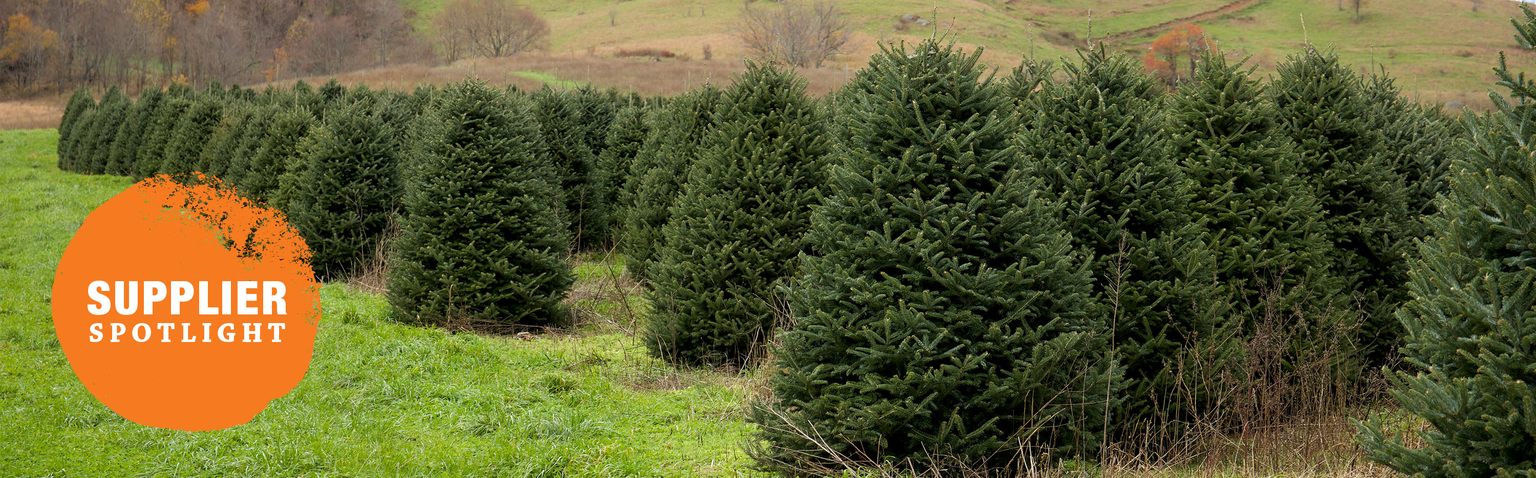 The Home Depot | Supplier Spotlight: Sexton Farms Christmas Trees