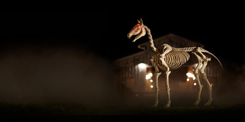 Full-size skeleton horse Halloween decoration