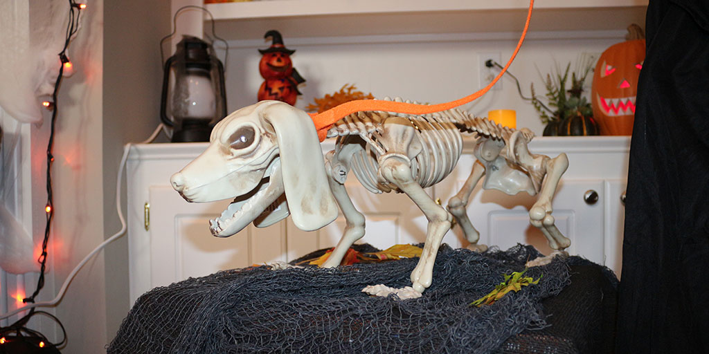 Skeleton dog Halloween decor