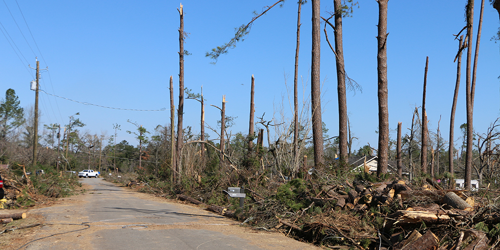 Tornado damage