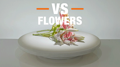 Moen GX vs. flowers