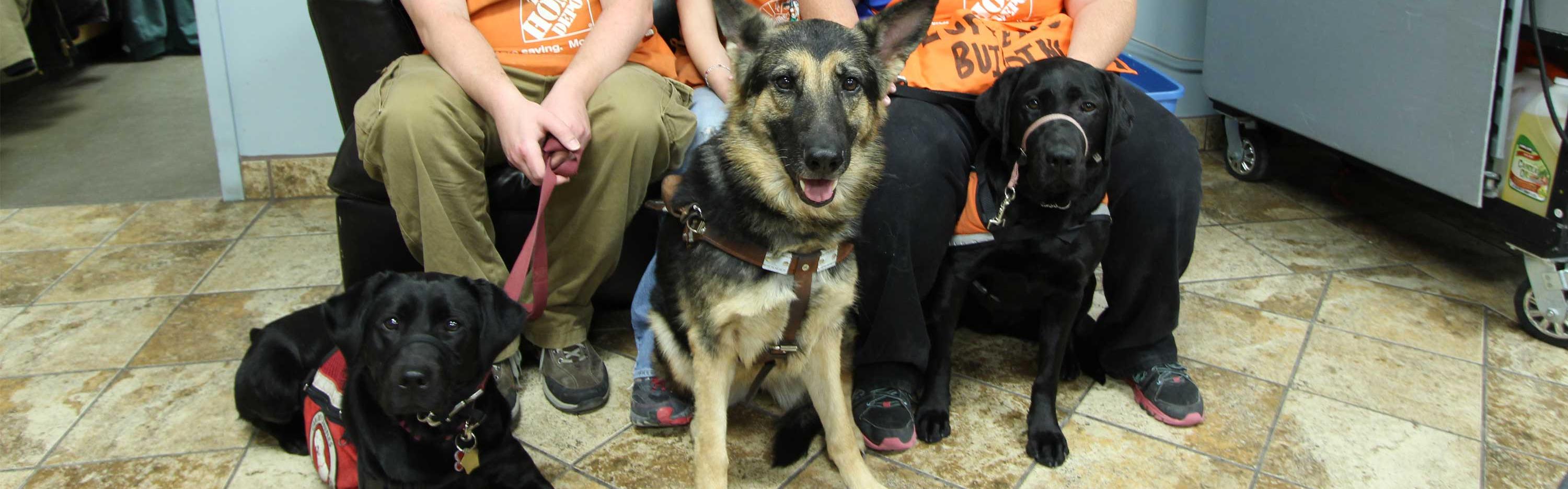 A Canine Connection to Service in the Store The Home Depot