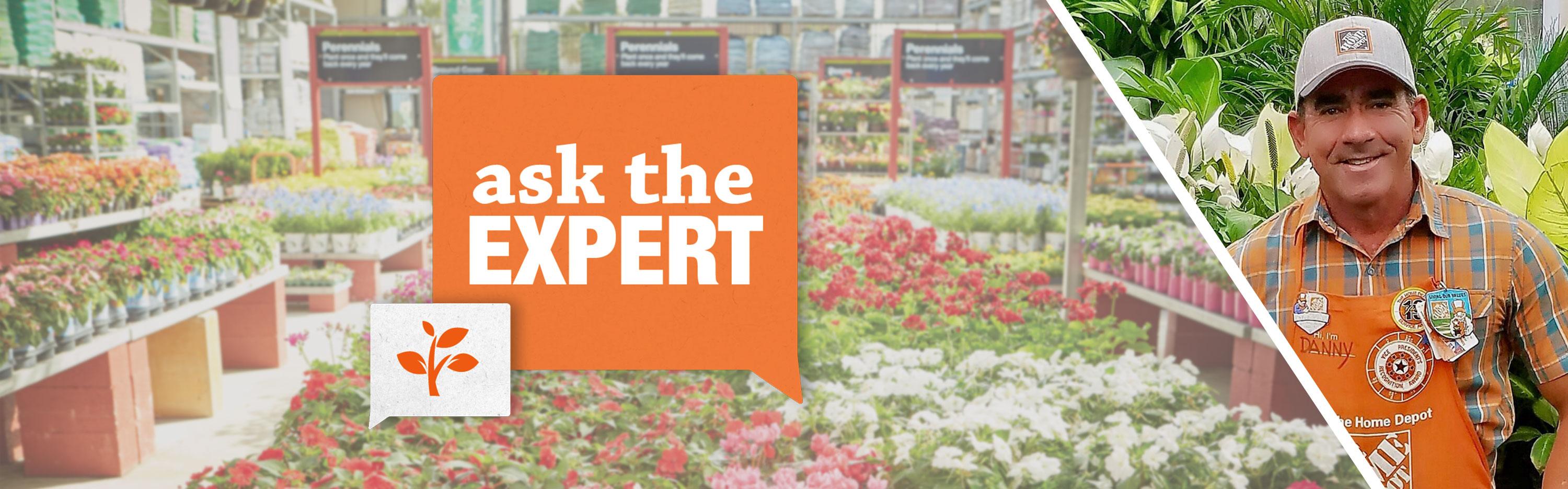 Ask the Expert Gardening Guru