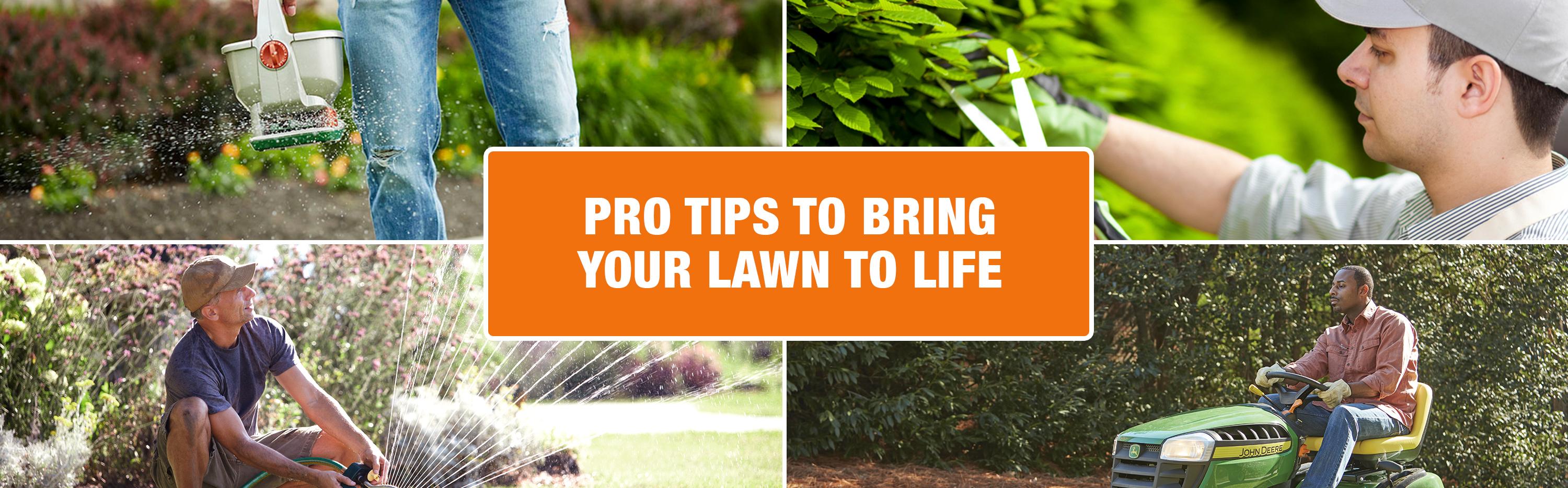 Improve your lawn care with these tips 