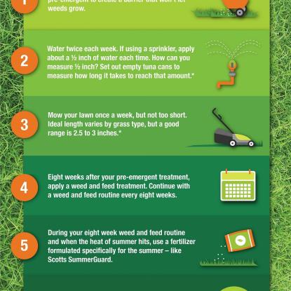 Infographic: Keep Your Lawn Green