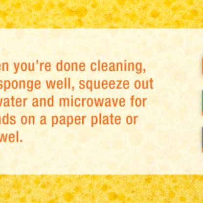 Sponge Cleaning Tips
