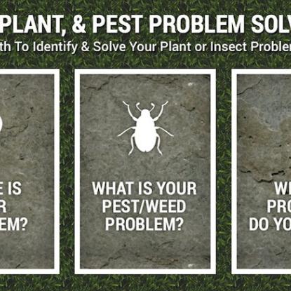 Weed Plant Pest Problem Solver