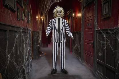 Beetlejuice™