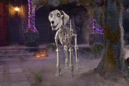  Skelly's Dog