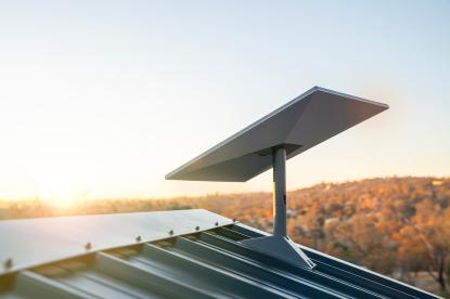 a starling kit atop a roof