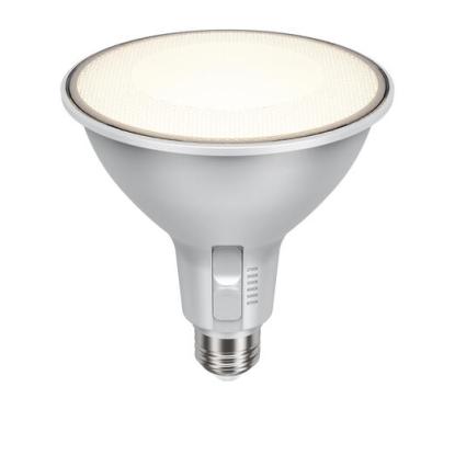 EcoSmart Lightbulb