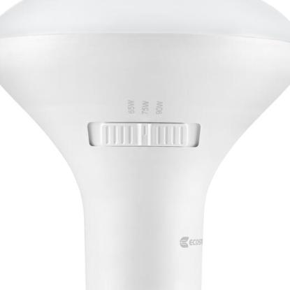 EcoSmart Closeup of the Lightbulb