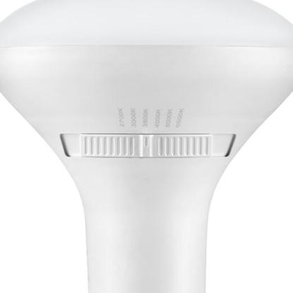 EcoSmart Closeup of the lightbulb 2