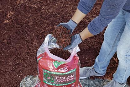 Mulch in Yard and Garden