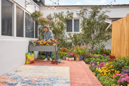 Planting Flowers