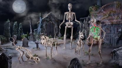 The skelly family in a foggy graveyard scene