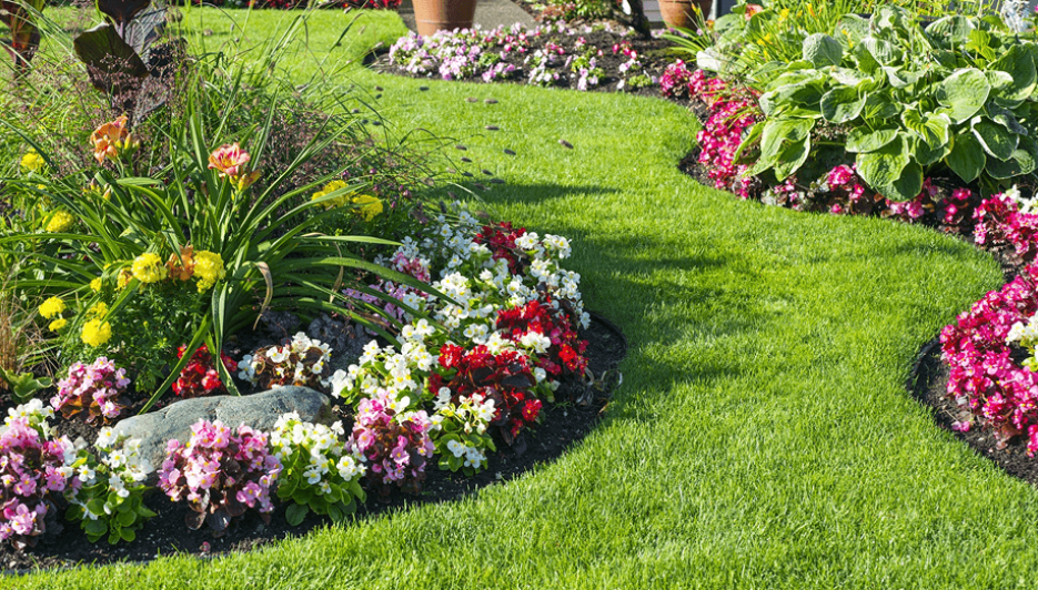 Fresh Perspectives: Home Improvement Experts on Spring Gardening Trends Fresh Perspectives: Home Improvement Experts on Spring Gardening Trends